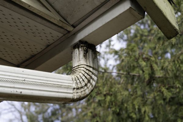 Cost of Roof Drain Replacement in Lake Orion