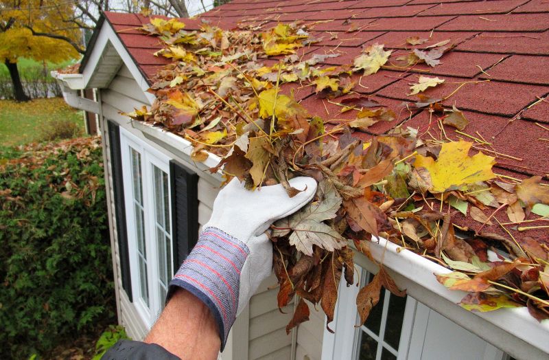 Gutter Service in Fall